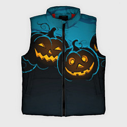 Мужской жилет Halloween3