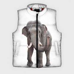 Мужской жилет Большой слон, цвет: 3D-красный