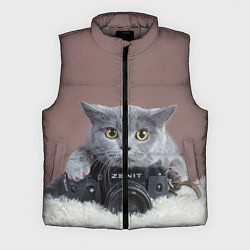 Мужской жилет Котик фотограф
