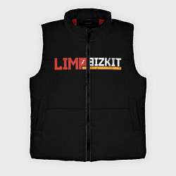 Мужской жилет Limp Bizkit, цвет: 3D-красный