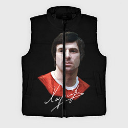 Мужской жилет Харламов, цвет: 3D-черный