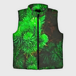 Мужской жилет Зелёная ель, цвет: 3D-светло-серый