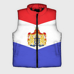 Мужской жилет Флаг и герб Голландии, цвет: 3D-черный