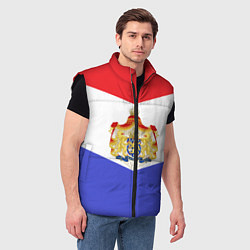 Мужской жилет Флаг и герб Голландии, цвет: 3D-черный — фото 2