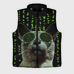 Мужской жилет Кот в матрице