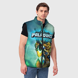 Мужской жилет Paladins, цвет: 3D-черный — фото 2