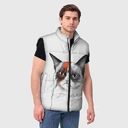 Мужской жилет David Bowie: Grumpy cat, цвет: 3D-черный — фото 2