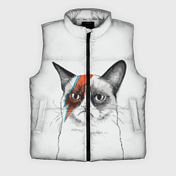 Мужской жилет David Bowie: Grumpy cat