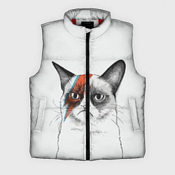 Мужской жилет David Bowie: Grumpy cat, цвет: 3D-красный