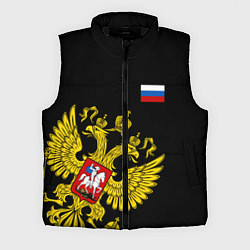 Мужской жилет Флаг и Герб России, цвет: 3D-черный