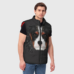 Мужской жилет Cavalier King Charles, цвет: 3D-красный — фото 2