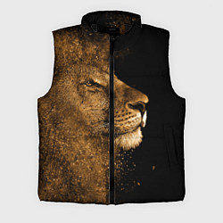 Мужской жилет Песчаный лев, цвет: 3D-черный