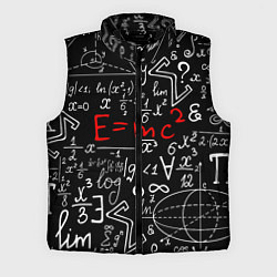 Мужской жилет Формулы физики