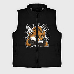 Мужской жилет Лис уверен, цвет: 3D-светло-серый