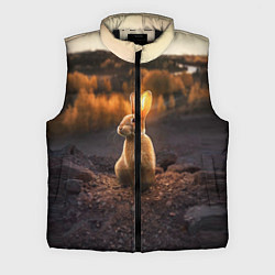 Мужской жилет Солнечный зайчик, цвет: 3D-черный