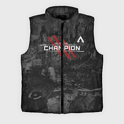 Мужской жилет You Are The Champion, цвет: 3D-черный