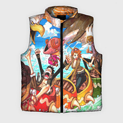 Мужской жилет One Piece