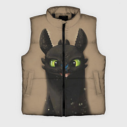 Мужской жилет Как приручить дракона, цвет: 3D-черный