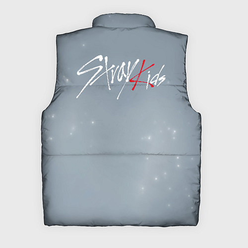 Мужской жилет Stray Kids / 3D-Красный – фото 2