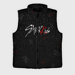 Мужской жилет STRAY KIDS