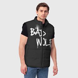Мужской жилет Bad Wolf, цвет: 3D-черный — фото 2