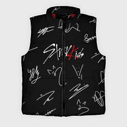 Мужской жилет STRAY KIDS