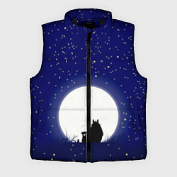Мужской жилет Мой сосед Тоторо, цвет: 3D-черный