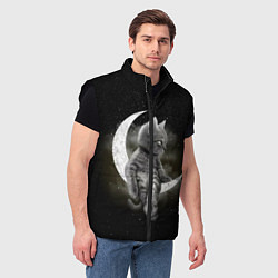 Мужской жилет Кот на луне, цвет: 3D-черный — фото 2