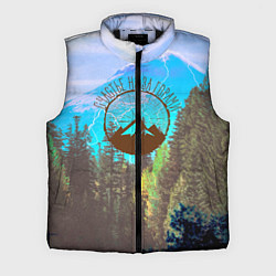 Мужской жилет Счастье не за горами, цвет: 3D-черный