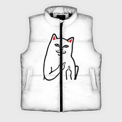 Мужской жилет Meme Cat