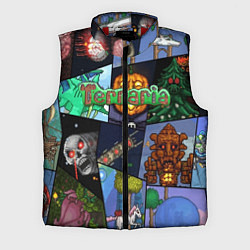 Мужской жилет Terraria