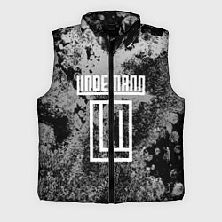 Мужской жилет LINDEMANN, цвет: 3D-черный