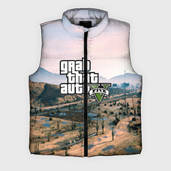 Мужской жилет Grand Theft Auto 5