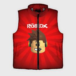 Мужской жилет ROBLOX