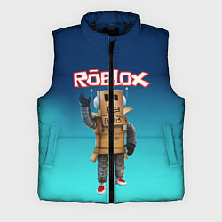 Мужской жилет ROBLOX