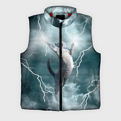 Мужской жилет Грозовой кошак