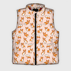Мужской жилет Корги