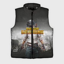 Мужской жилет PUBG, цвет: 3D-светло-серый