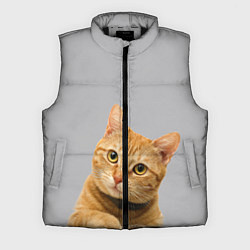 Мужской жилет Рыжий котик, цвет: 3D-черный