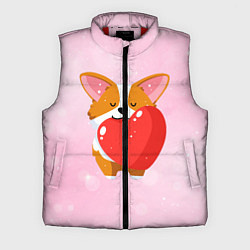 Мужской жилет Милый корги