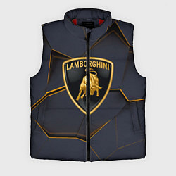 Мужской жилет Lamborghini