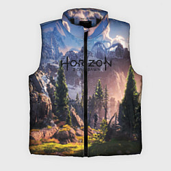 Мужской жилет Horizon Zero Dawn