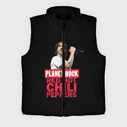 Мужской жилет RHCP