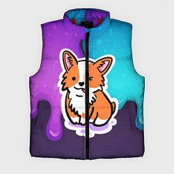 Мужской жилет Милый корги