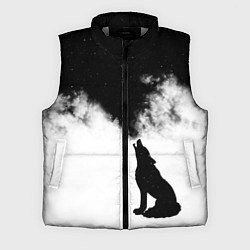 Мужской жилет Galaxy wolf, цвет: 3D-светло-серый