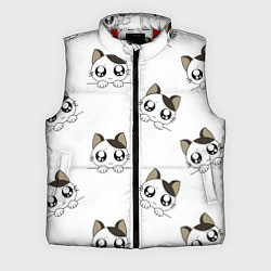 Мужской жилет Котята, цвет: 3D-красный