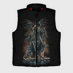 Мужской жилет Children of Bodom 17