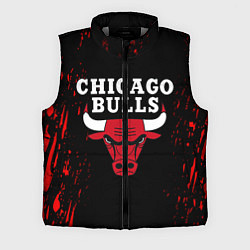 Мужской жилет CHICAGO BULLS, цвет: 3D-светло-серый