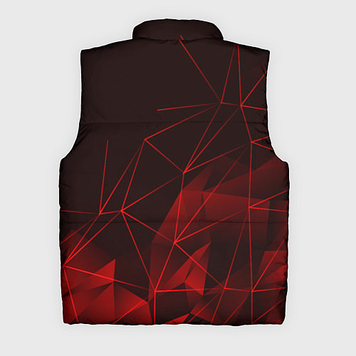Мужской жилет BMW / 3D-Красный – фото 2