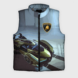 Мужской жилет Lamborghini - motorsport extreme, цвет: 3D-светло-серый